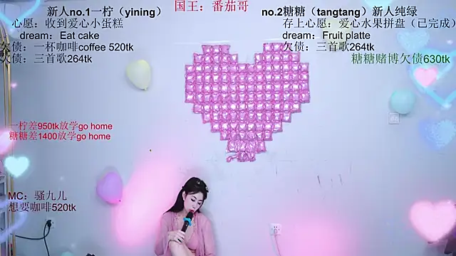 CCTW-100 webcam