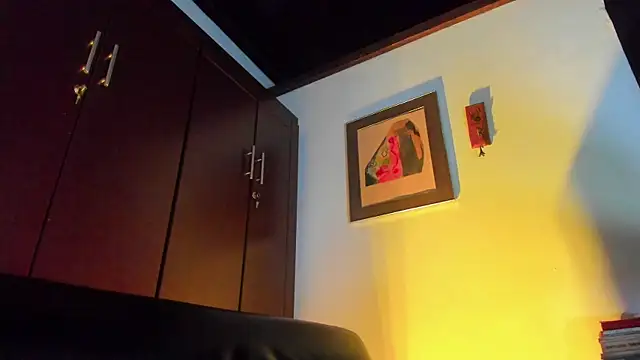 CamiloGray_ webcam