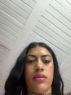 Moonceleste webcam