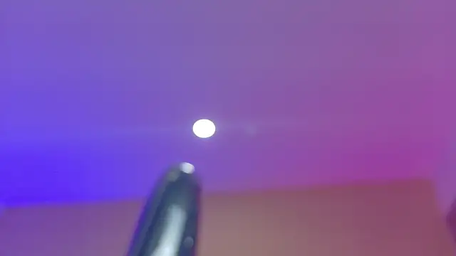 Nascary_Fox webcam