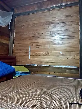 Td3di webcam