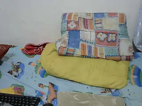 playfullnova webcam