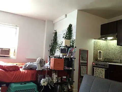 littyleesh1 webcam
