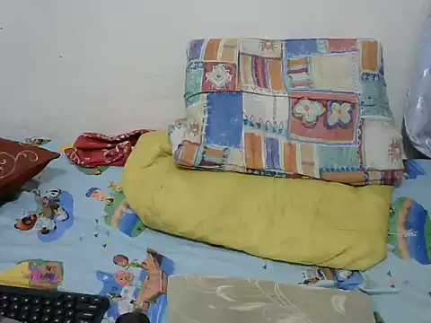 playfullnova webcam