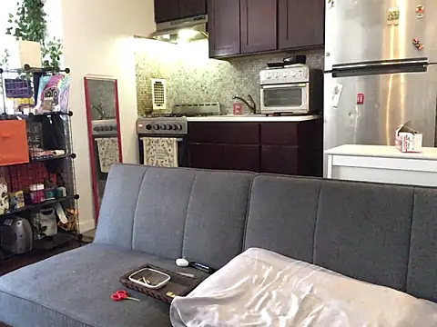 littyleesh1 webcam