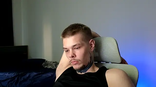 DENIS_HERE webcam