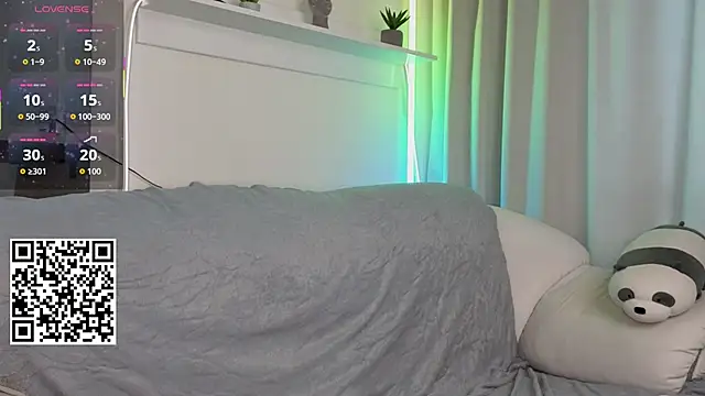 _Lua__ webcam