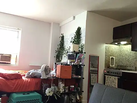 littyleesh1 webcam