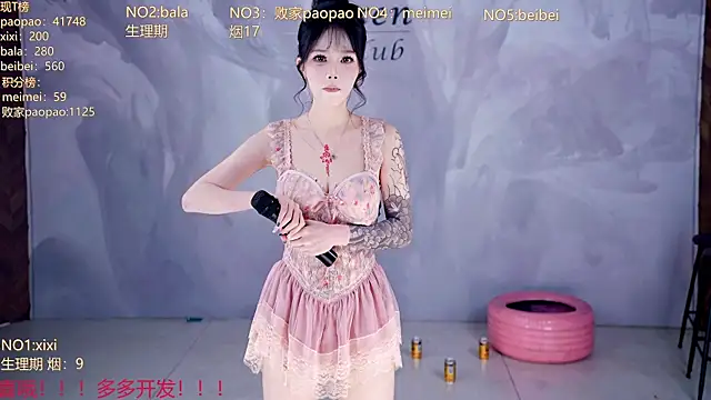 tl-99-09 webcam