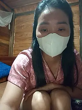 Td3di webcam