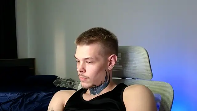 DENIS_HERE webcam