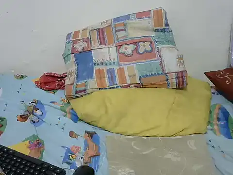 playfullnova webcam