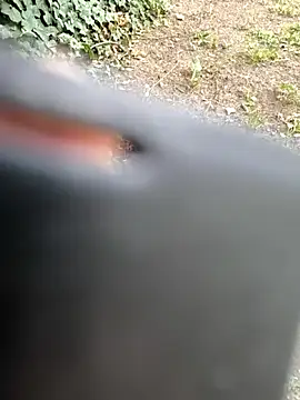 Norbi0803 webcam