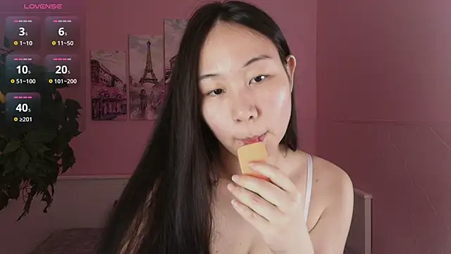 Inari_Okami_ webcam