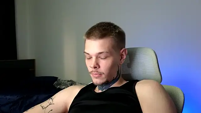 DENIS_HERE webcam
