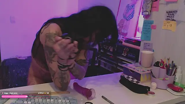 aleksanoir webcam