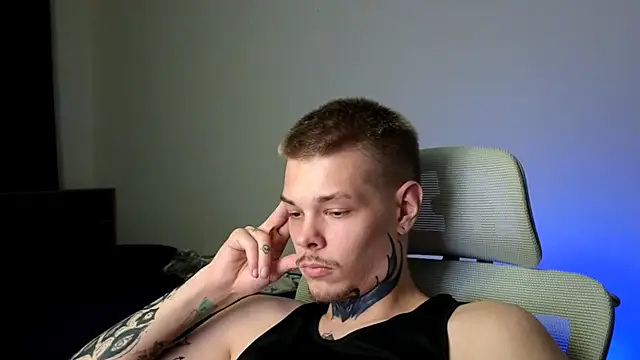 DENIS_HERE webcam