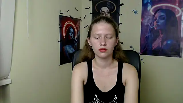 StellaCRL webcam