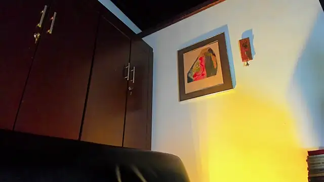 CamiloGray_ webcam
