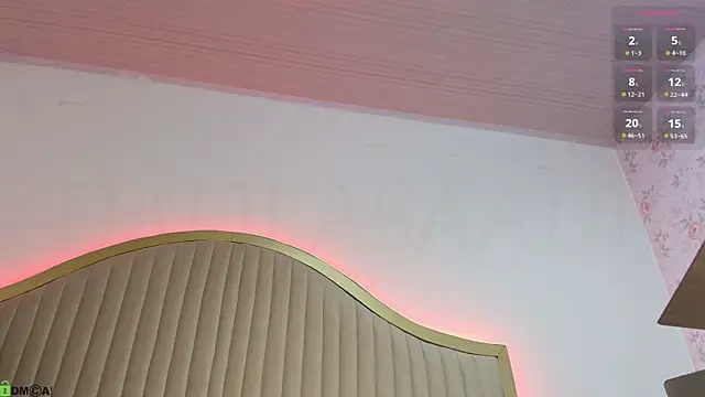 dalilasaadi_ webcam