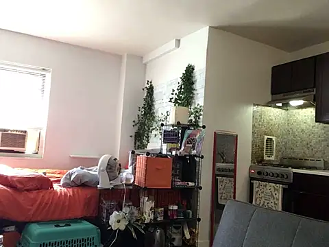 littyleesh1 webcam