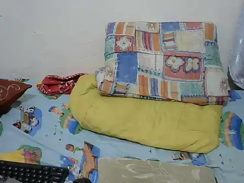 playfullnova webcam