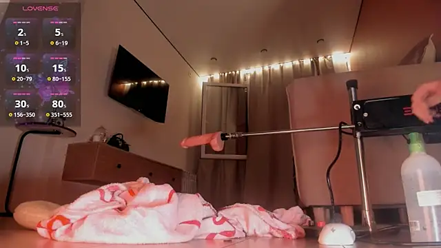 koyoomi webcam