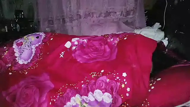 hebe-02 webcam