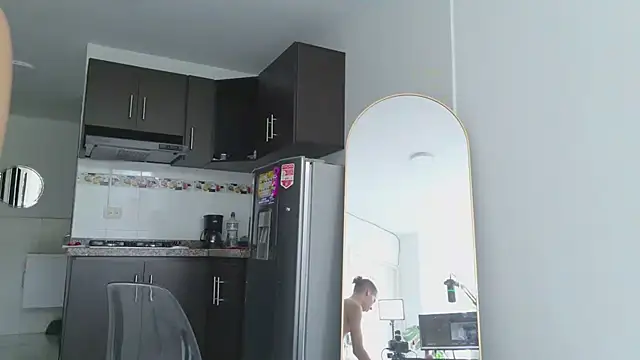 grey___27 webcam