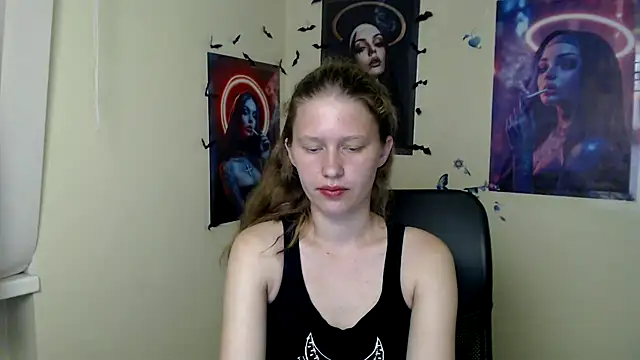 StellaCRL webcam
