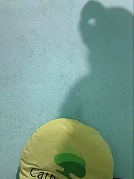 Shine_Mai webcam