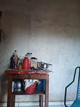 bela14 webcam