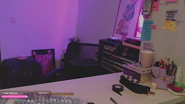 aleksanoir webcam