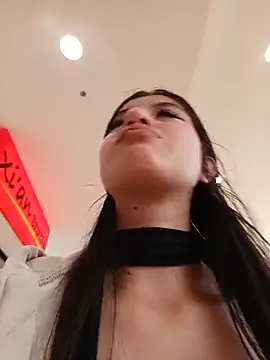 SALOME-28_ webcam