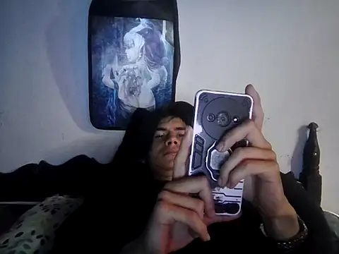 lmlfff webcam