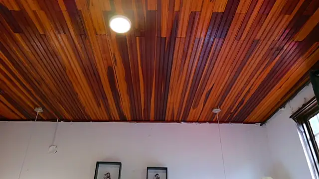 katiamoree webcam