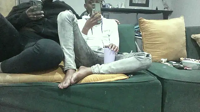 Winterslender webcam