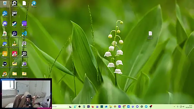 CeriseLapine webcam