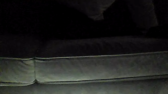 perlados webcam