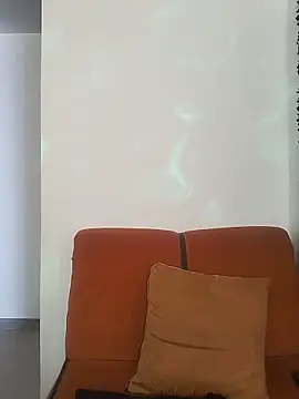 Fleurmeyer79 webcam