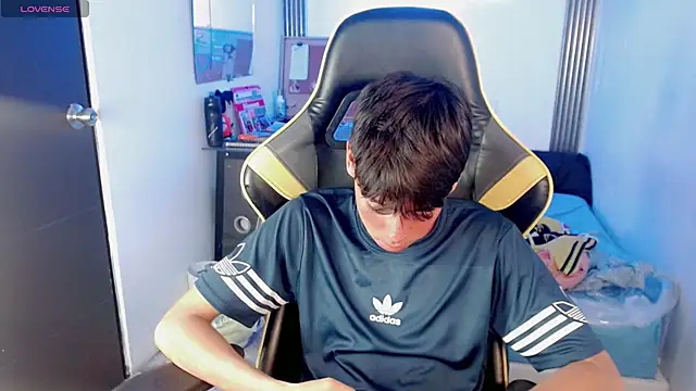 Liarr_ webcam