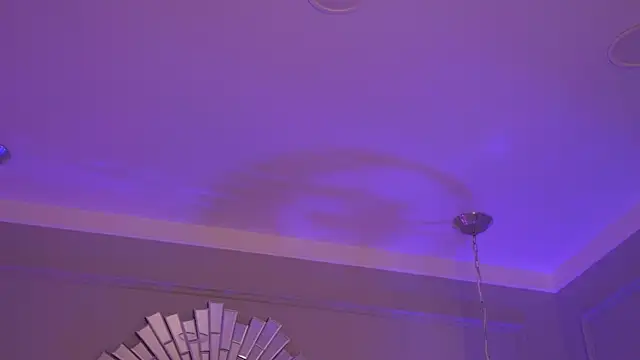 GinaFleming live sex cam