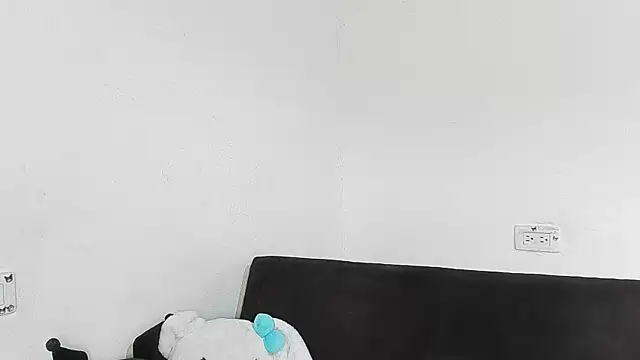 Eirlysx webcam