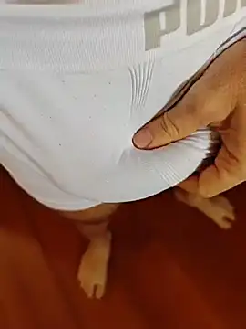 BrunoSuperDotado webcam