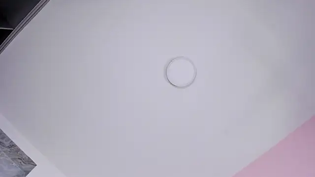 Kendall_Rous_ webcam