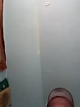 Rooster149628tim webcam