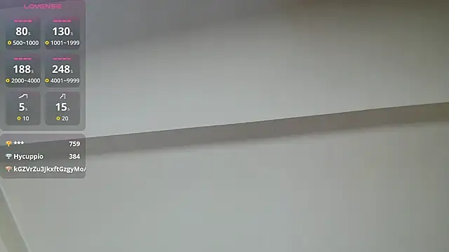 sallybing webcam
