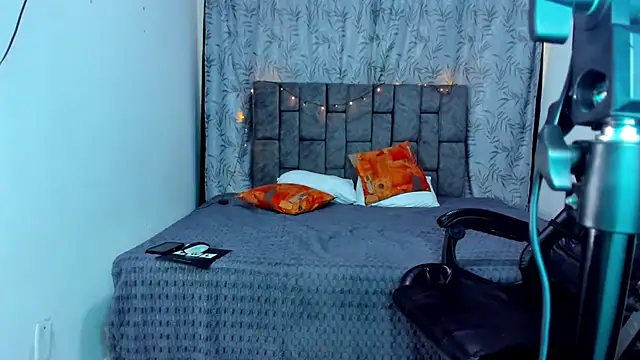 Dantekent webcam