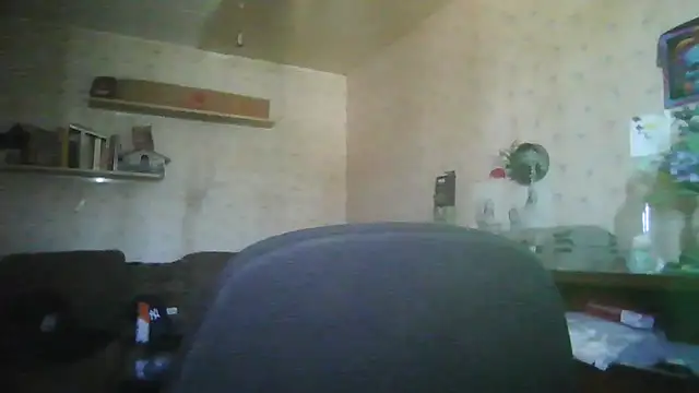 PandoranTheory webcam