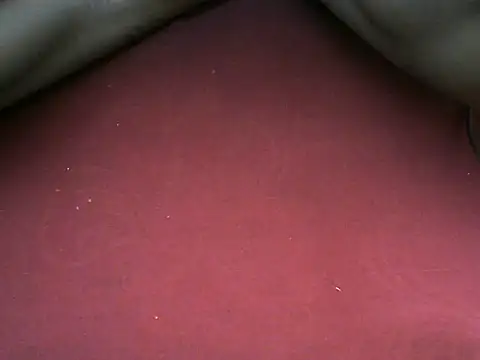 shanizadam webcam